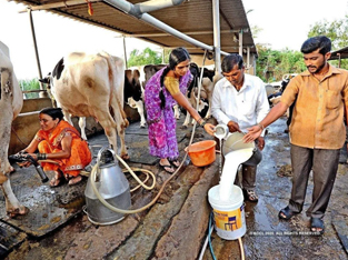 aaruh-foundation-cow farming-Training-Sustainability